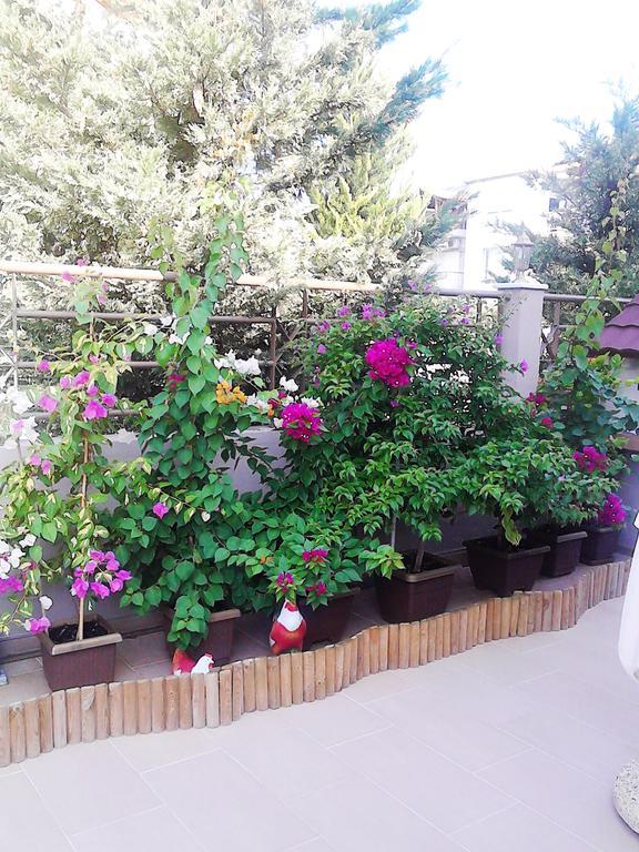Villa Emmanouela Studios - Family Accommodation Vrasná Екстериор снимка